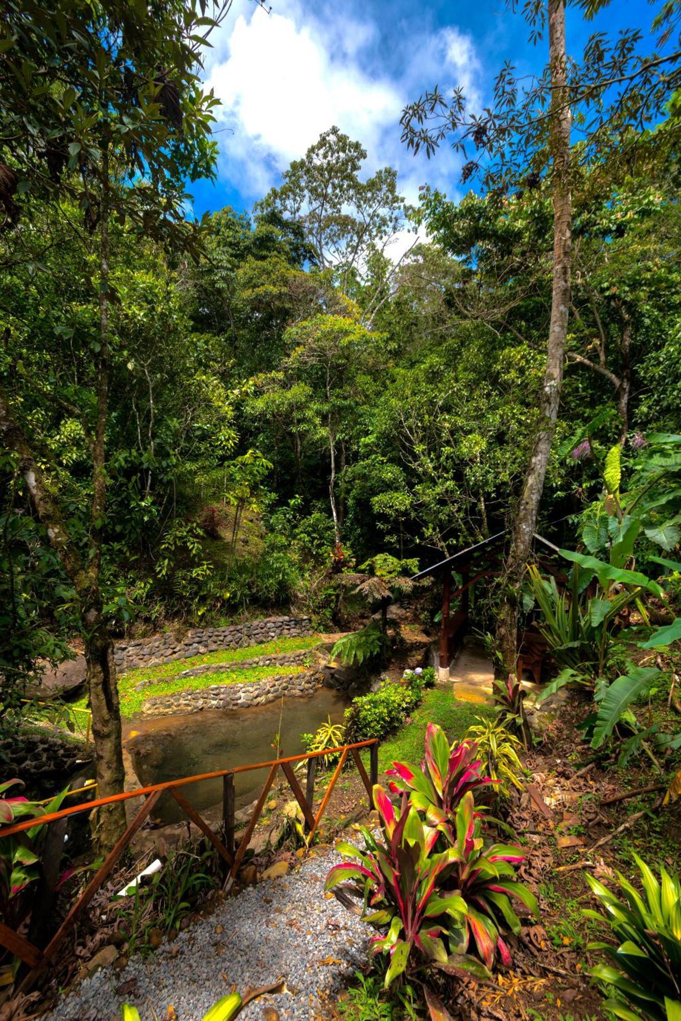 Vista Turrialba Lodge מראה חיצוני תמונה